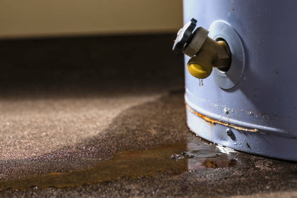 Best Basement water damage restoration  in Moenkopi, AZ