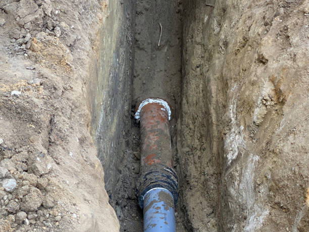 Best Flood restoration services  in Moenkopi, AZ