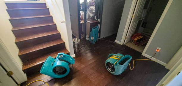 Best Sewage cleanup and water damage restoration  in Moenkopi, AZ
