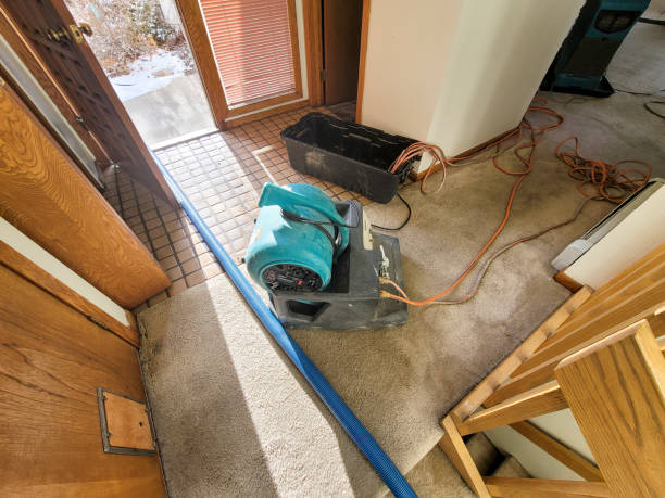 Trusted Moenkopi, AZ Water damage restoration Experts