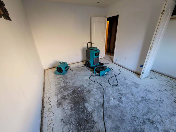 Local water damage restoration in Moenkopi, AZ