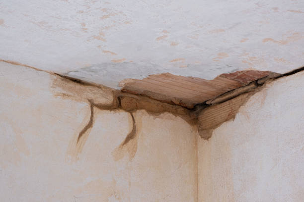 Best Water damage contractors near me  in Moenkopi, AZ