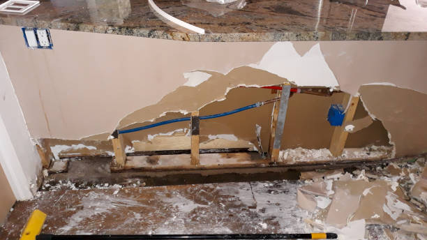 Trusted Moenkopi, AZ Water damage restoration Experts