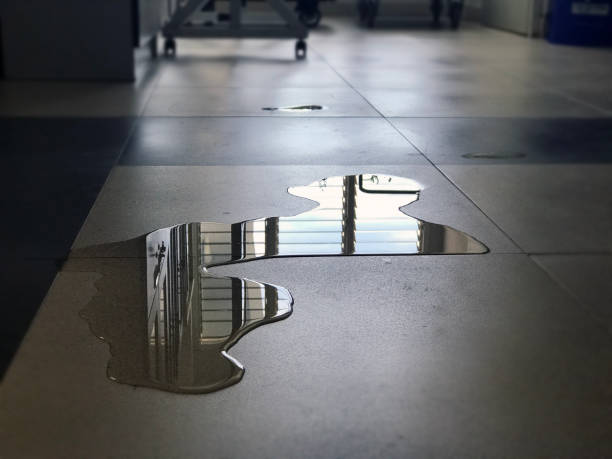 Best Water damage restoration near me  in Moenkopi, AZ
