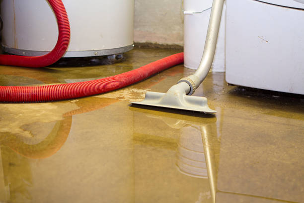 Best Basement water damage restoration  in Moenkopi, AZ