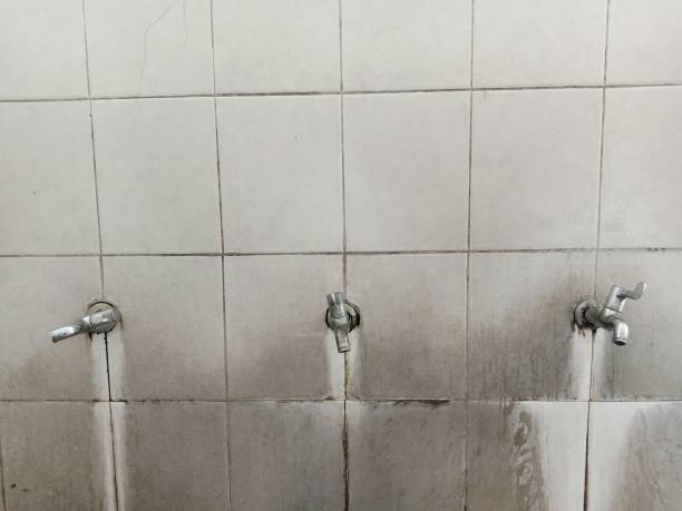 Best Water damage restoration specialists  in Moenkopi, AZ