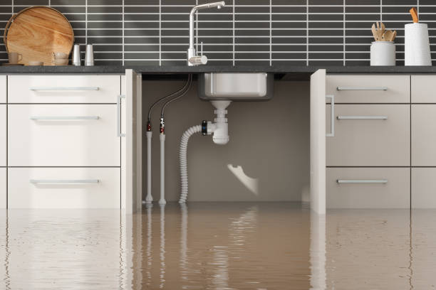 Best Basement water damage restoration  in Moenkopi, AZ