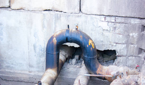 Best Local water damage restoration  in Moenkopi, AZ