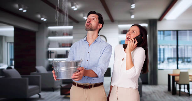 Best Water damage restoration near me  in Moenkopi, AZ